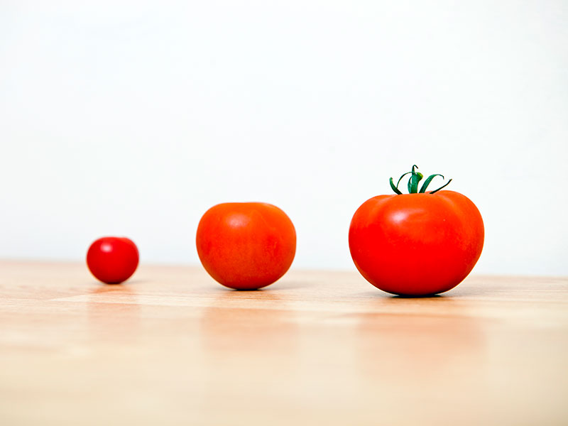 Studio Shot of three cherry tomatoes in a row