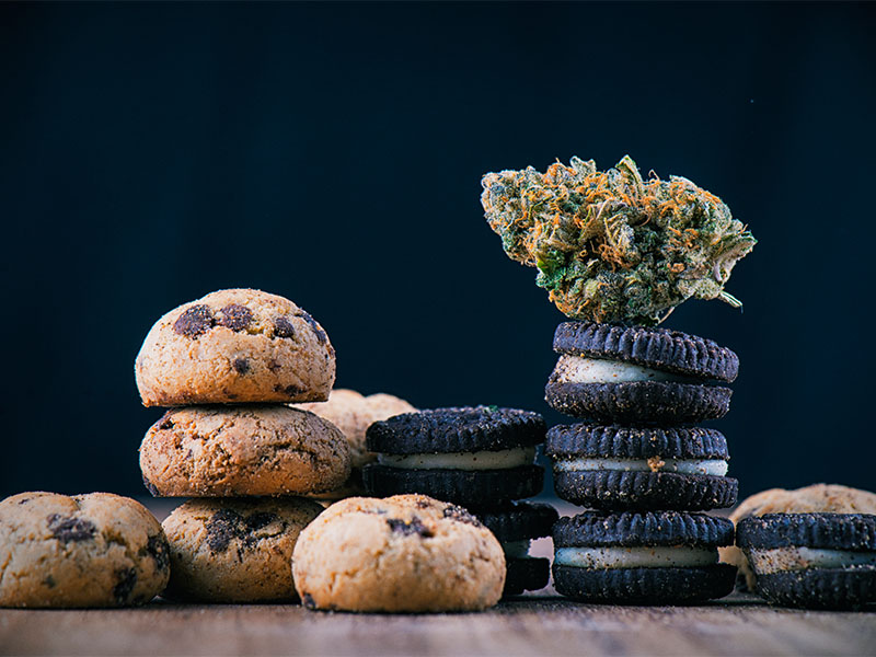 Detail of single cannabis nug over infused chocolate chips cookies - medical marijuana edibles