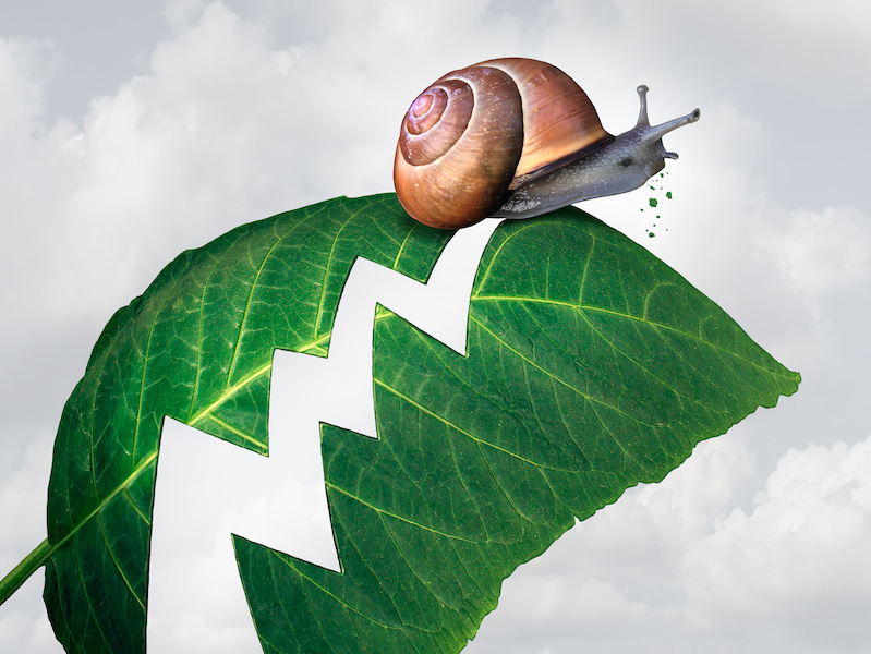 Slow profit growth business concept as a snail creating a hole shaped as a financial arrow chart in a leaf by eating the plant as a metaphor for economic slowdown.