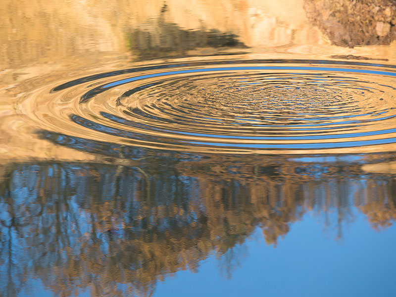 Rippled nature reflection on pond water surface