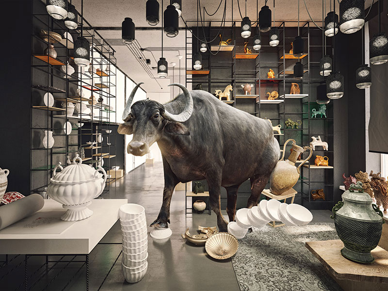 bull in china shop