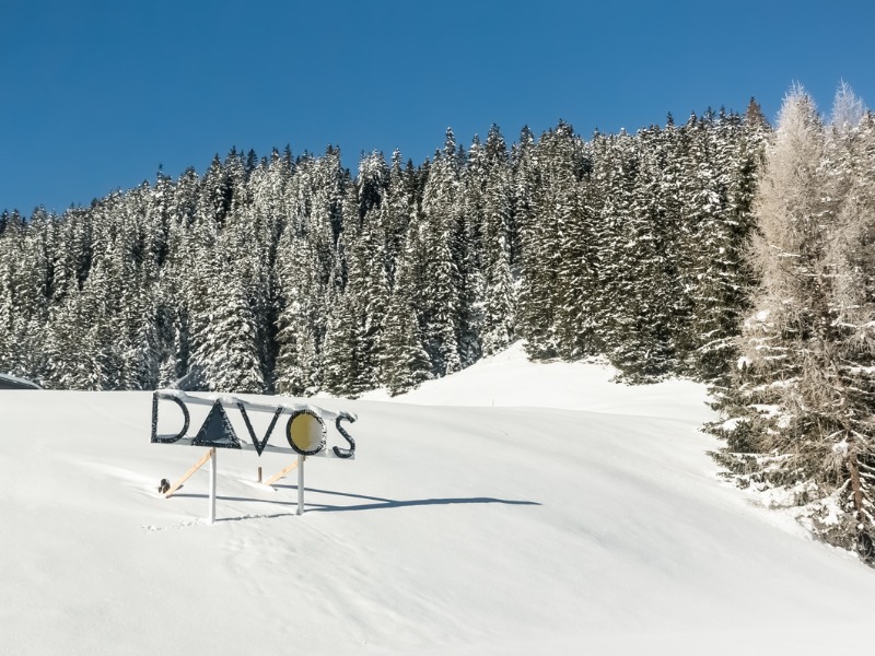 Snow-covered fir trees on a sunny day, Davos, Switzerland
