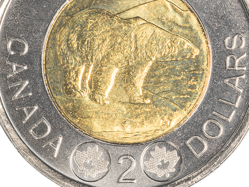 Canada’s two dollar coin is bimetallic, and shows a polar bear, a symbol of concern for the endangered environment.