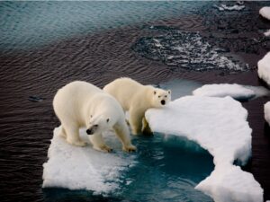 Banks face growing threat of climate litigation