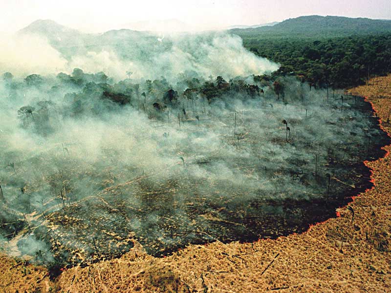 Fire destroys a forest near Boa Vista, the capital of the state of Roraima in Brazil. The fire has been aided by the worst drought in the state since 1926.